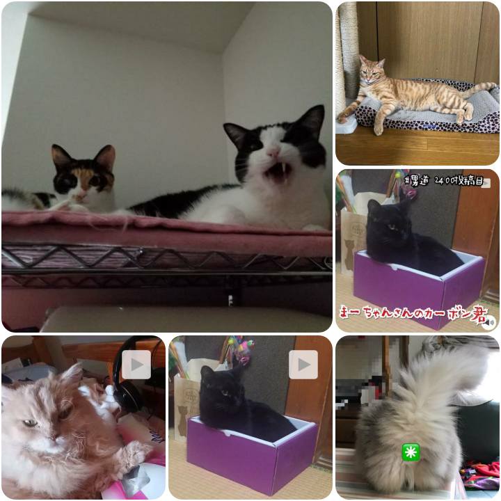 57f6bde6 6766 402a acae af0a1b89db46 1567413947277