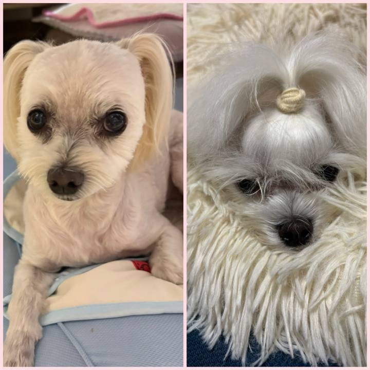 57f6ea30 3436 4177 9cf9 7a16a0fc9824 1753010850001