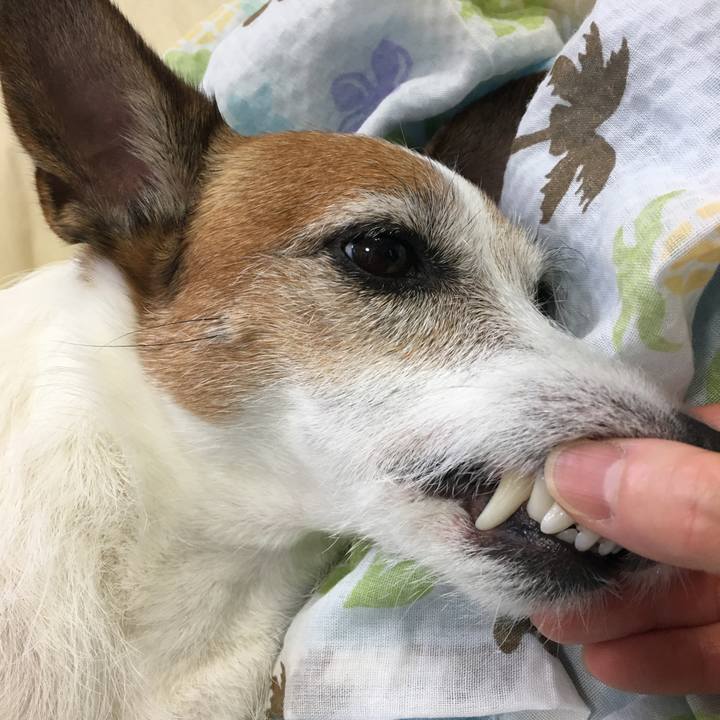 57f72676 a49c 47ff a78f 875b36f2ac1f 1656544682578