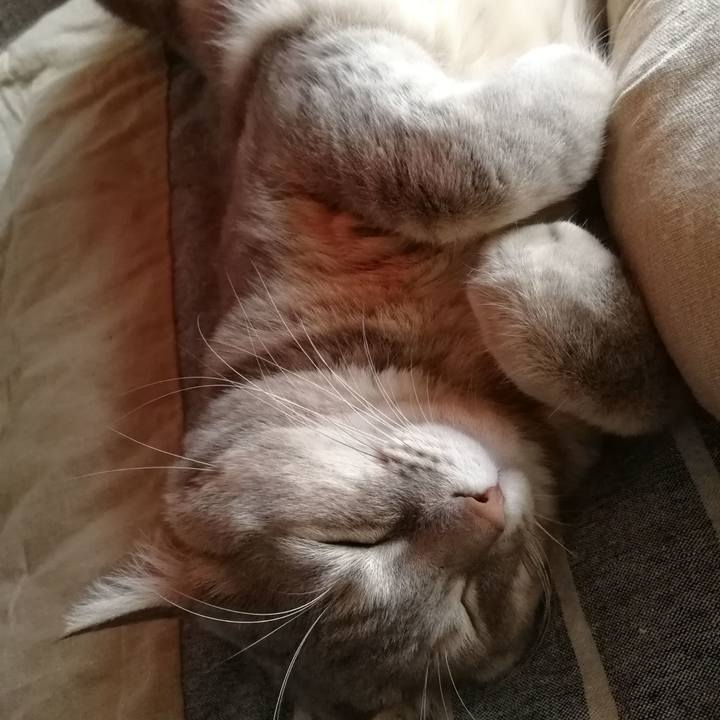 57f73505 bc88 4cc4 bc25 fd645f7e0234 1515549243096