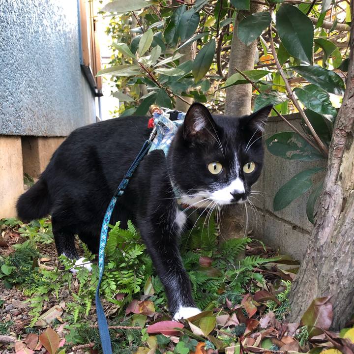 57f7652a a8b7 4595 873b d8a1f30330bf 1557805312066