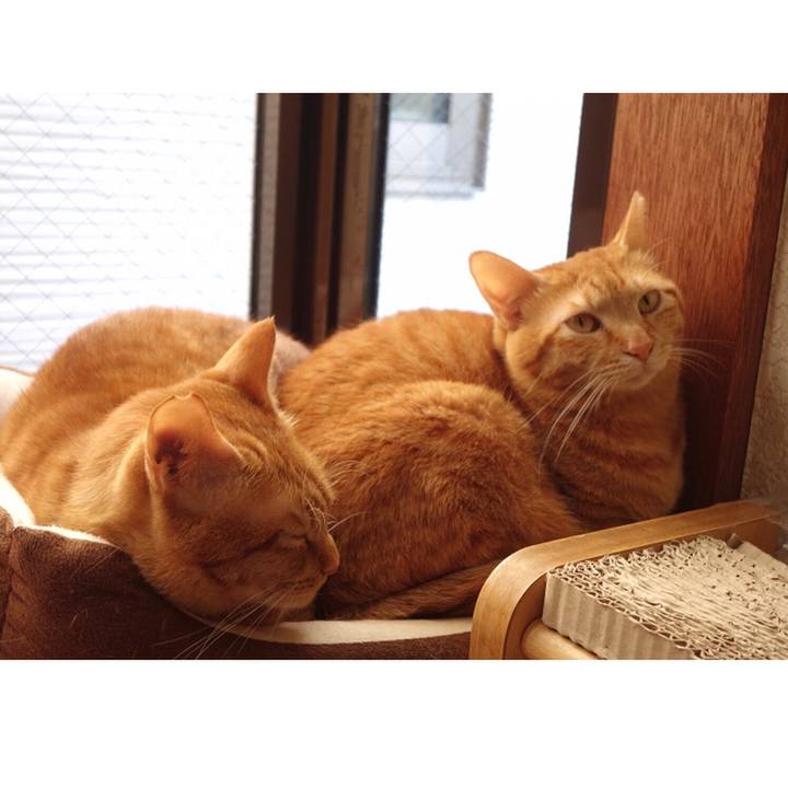 57f78423 6bad 4064 a1ec fcd96a0f5220 1588803354930