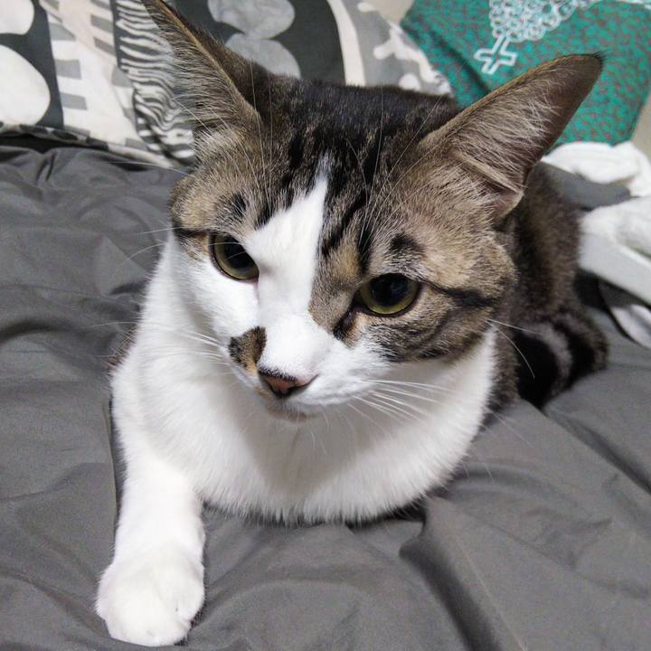 57f7ddbc 1a68 4c24 95d2 82990f802d06 1643717484148