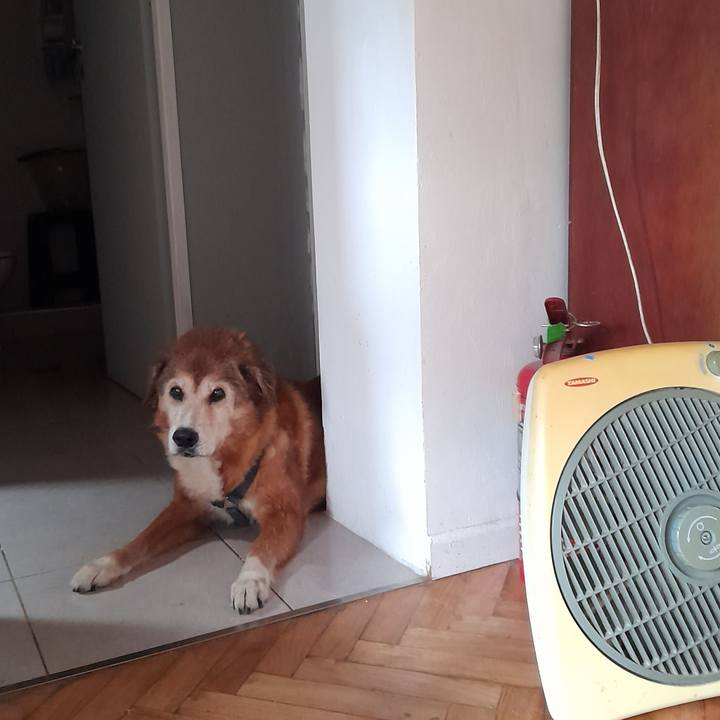 57f7ebce c219 4994 8105 10020a1e964b 1770277800434