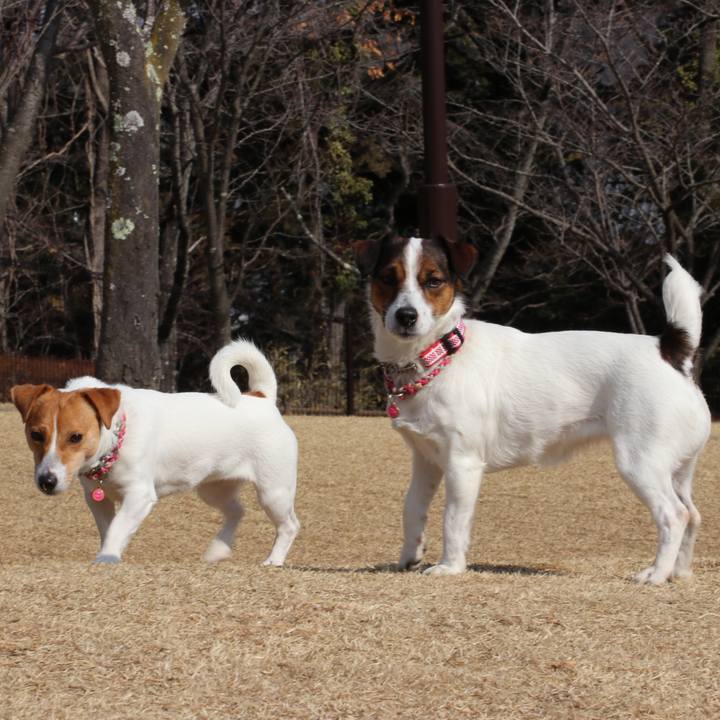 57f7ef9a cdb5 4ad8 a06f 6ec88009b779 1519463780210