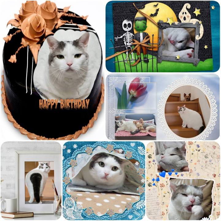 57f7fa9f 5ed1 47ef b72c 22d736621b23 1634942437182