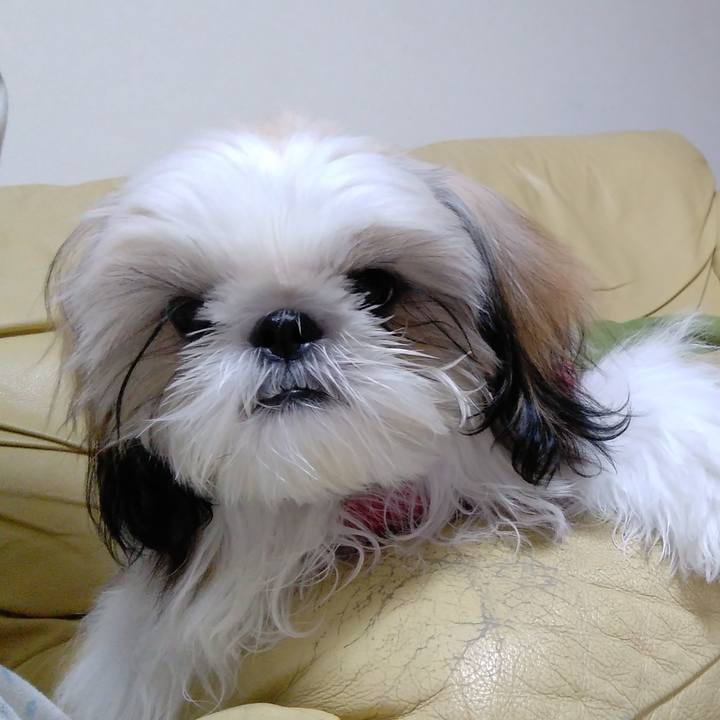 57f8162c fc55 42da bde7 c2bb7002b64c 1542202851225