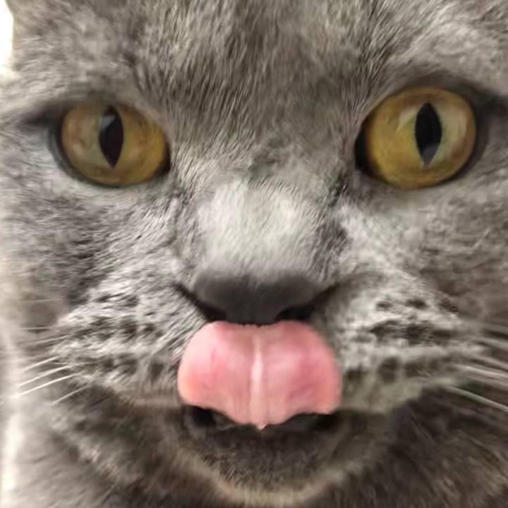 57f8524f b671 42bf 8763 3700d558cce4 1669377811844