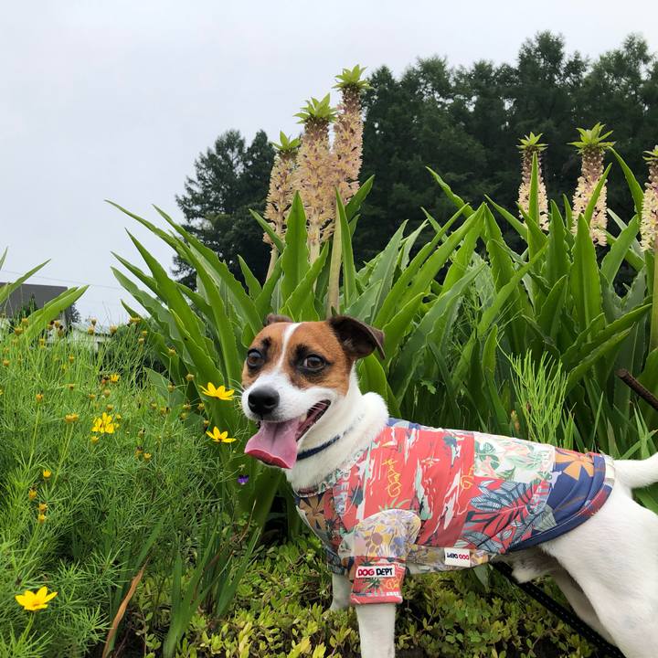 57f8626f bfe8 4462 95cf 943fb8f3debc 1596784388374