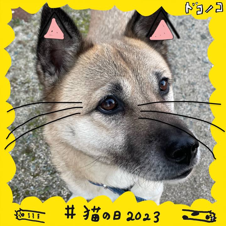 57f86899 60ec 4505 b8a6 cfecaf669422 1677061589375