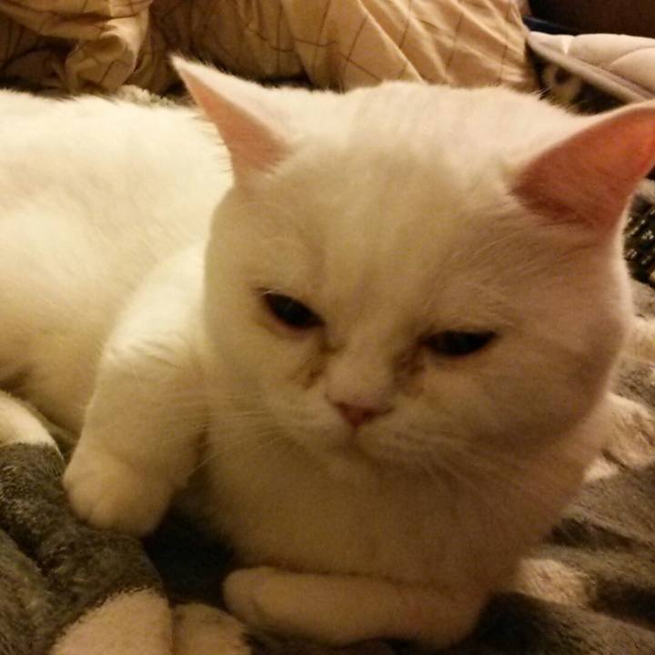 57f881bb 6726 4c1d be5d 7e72f47faea2 1526571376063