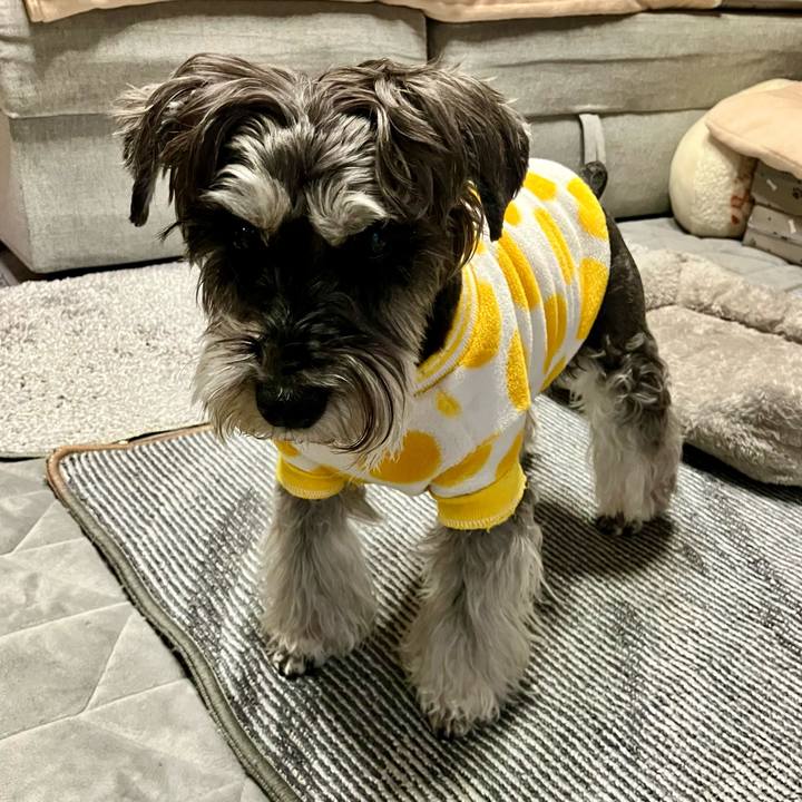 57f88a2a b4a5 4215 8dbe 847ff358782c 1772402511113