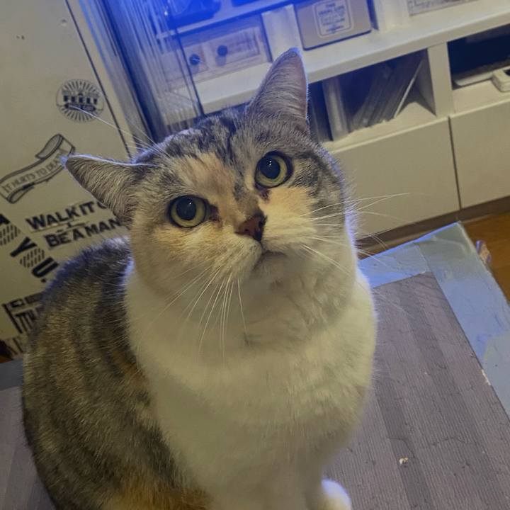 57f8dbd9 d873 4e8d b23f 5d9a62525bb0 1673969272953