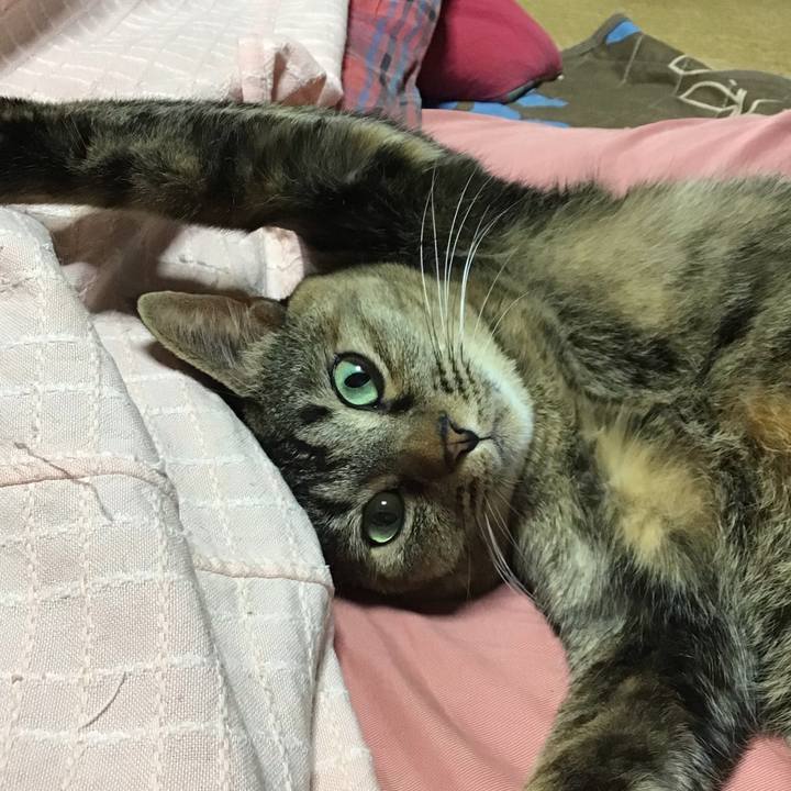 57f8dd70 7518 4abc 9fbe 8da27c1fa5fe 1673838655654