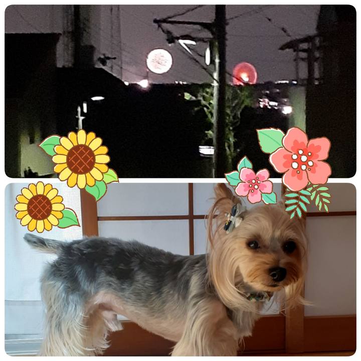 57f8f737 cda8 4321 ad36 39d73c178137 1565912204104