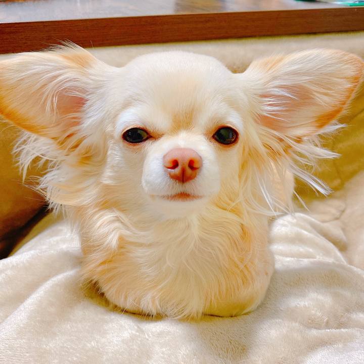 57f96684 b071 4960 b817 f093bbda4e29 1645137443639