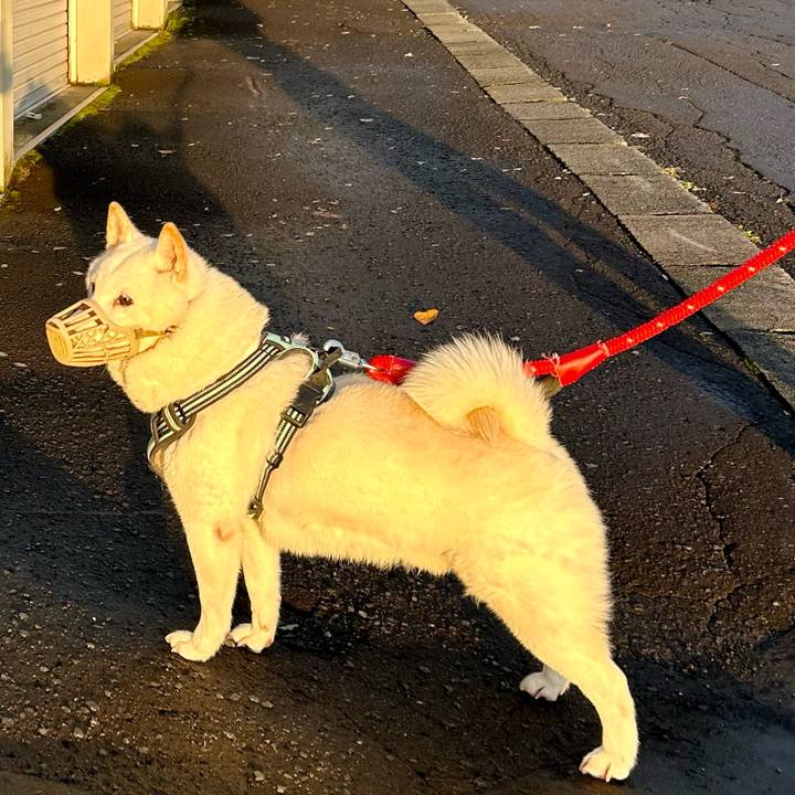 57f9777f 95d8 4f24 a259 533069570fe7 1698011581525