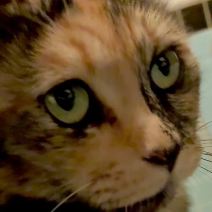 57f98763 bc64 47bb b34c 987f7f08107e 1750709434024