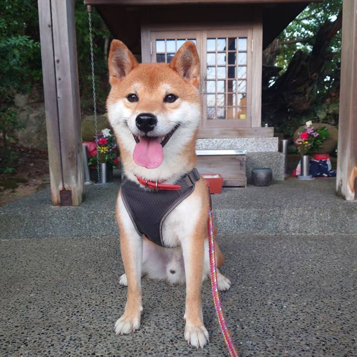 57f98e60 5b71 4352 8b8d 5b56a1294115 1758495708246