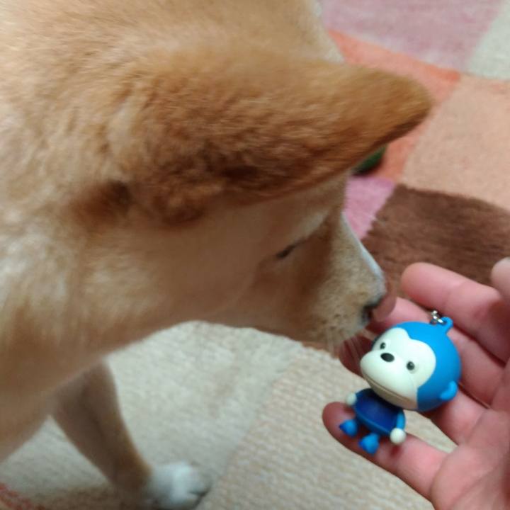 57f9a04b eaab 41b8 8ec7 0d3371215d64 1515587961828