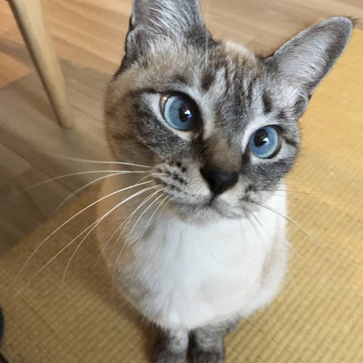 57f9c298 cd05 412b a39f 8d999fc2ecae 1577077016675