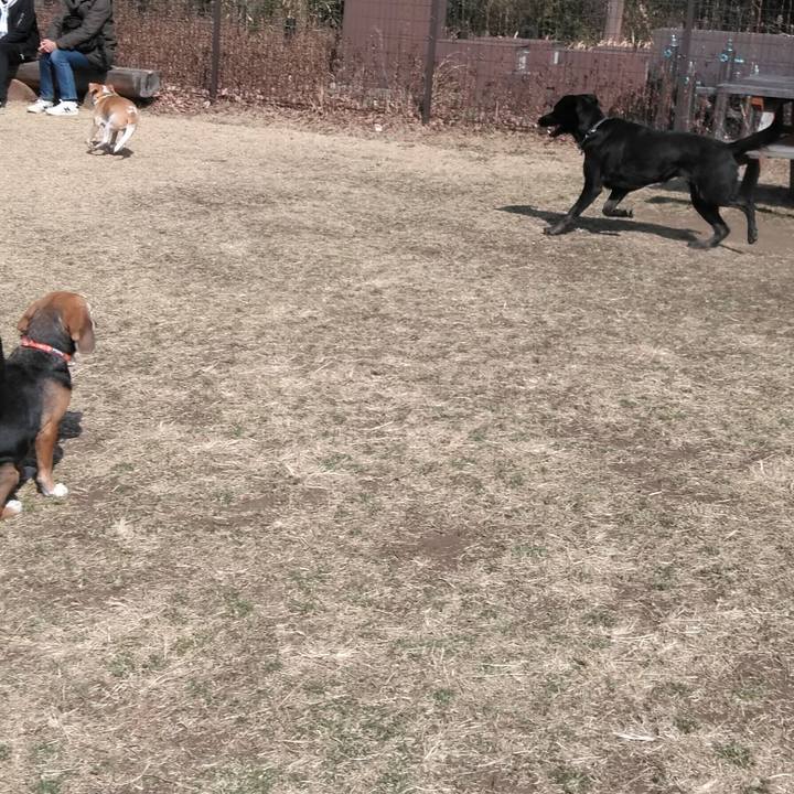 57f9c2ff 3d50 46ce b3b3 ad1e377bb1c5 1550997859049