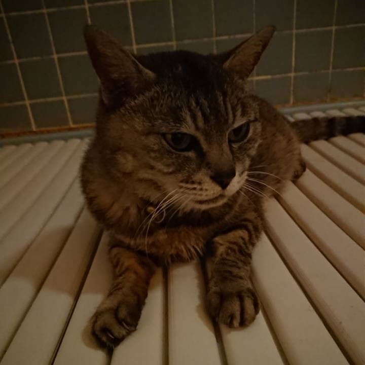 57f9ce45 4ff8 4d4f 9797 4d19e24dfe1e 1563189345143