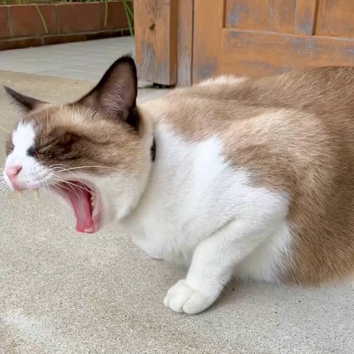 57fa035d 21bc 4317 819e a6b4677b8ac0 1729322500984