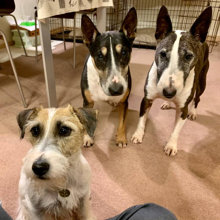 57fa7fa3 0c0e 41eb ad06 1335a45d598f 1604574815018