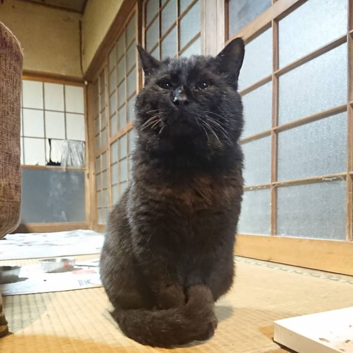 57fabc2e 0241 45d4 84a3 71c8f5cc09de 1618315263000