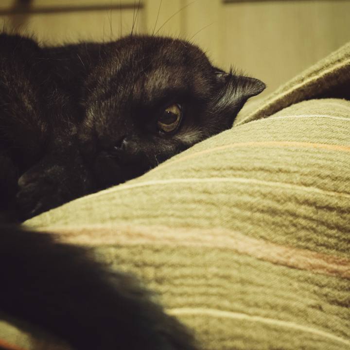 57faf4b1 4f20 4456 b07a 08b8c14cd1cb 1559224998495