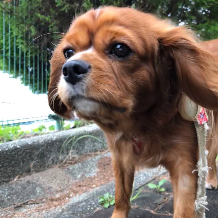 57fb039b 19de 4529 9c5b b07c32bec518 1569109731658