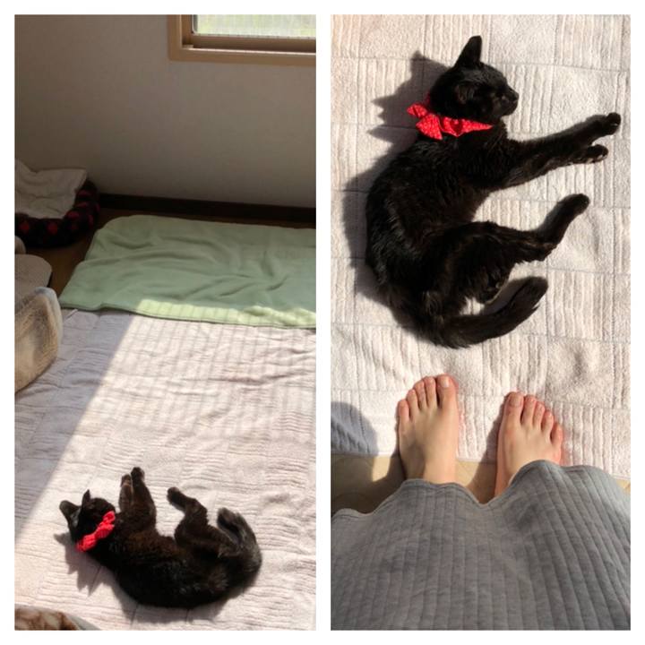 57fb1a0d 00f7 4857 bf7d 9fee7f2b50cb 1558219990276