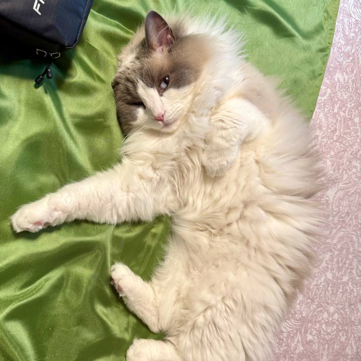 57fb3c6e c647 4749 9b33 02630470a076 1748315708498