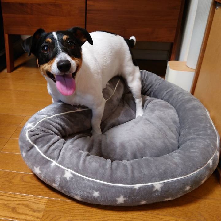 57fb40a0 cf62 485e a942 42ef545ed38a 1699686323083