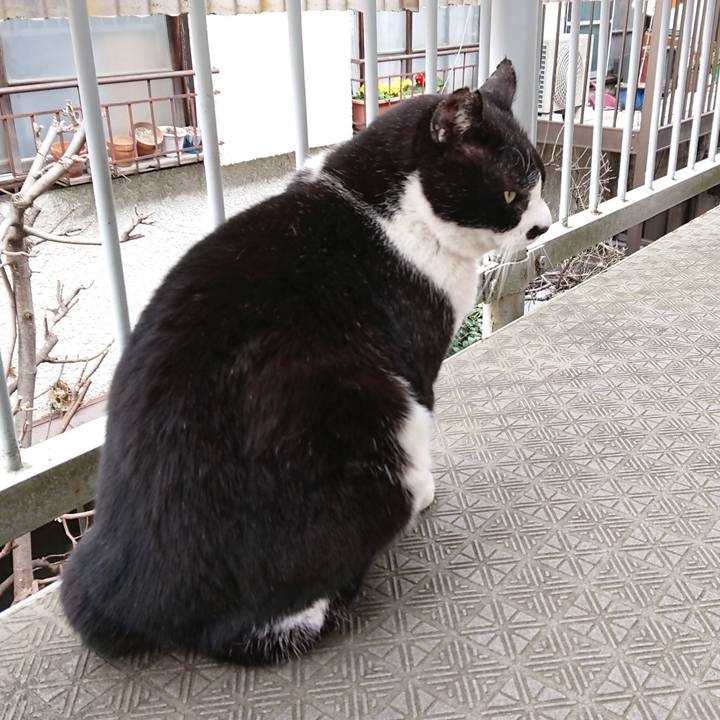 57fb7633 5484 43c8 9698 f0aafc611fcd 1644042696490