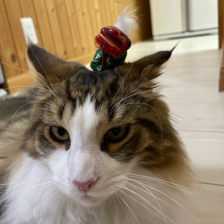 57fbbe4a 7f77 4a5c a82c 0091acfcd60d 1641074847974