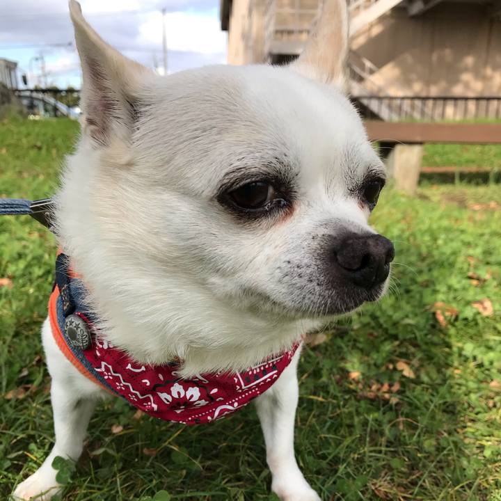 57fbda04 8bb0 491b 8b00 b70ced0220bc 1606016470364