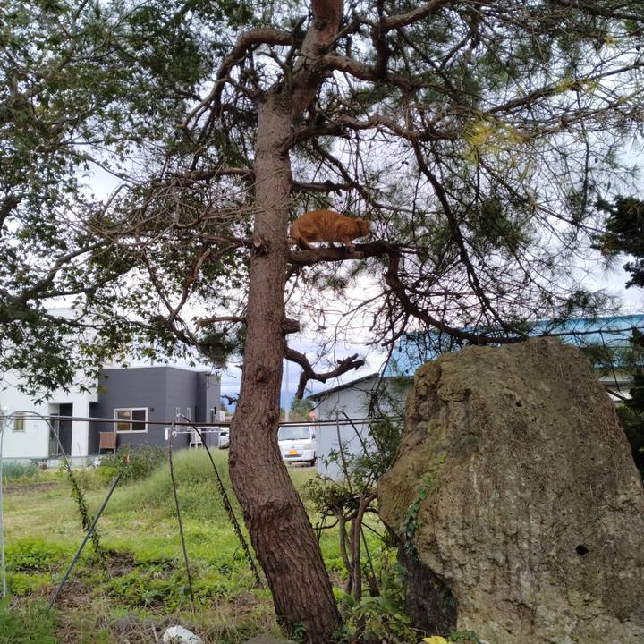 57fbfa97 aac1 4243 a23c d13a2757b5be 1665207157082