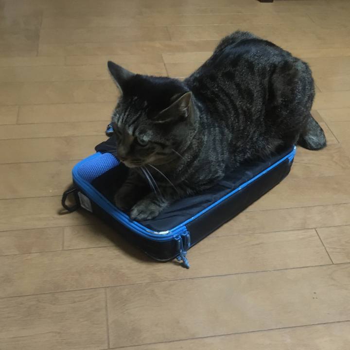 57fc3bdc ef14 474b a492 e2b6bbed568a 1584899510828