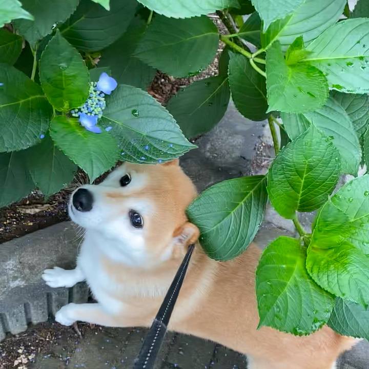 57fc3e02 c04d 4b80 b2ad e0a52f9c6234 1623796681283