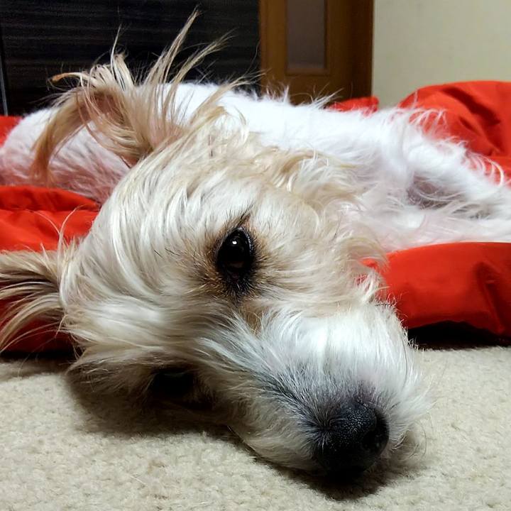 57fc3f72 385f 44a6 b61c 11f45daa662e 1549577334944