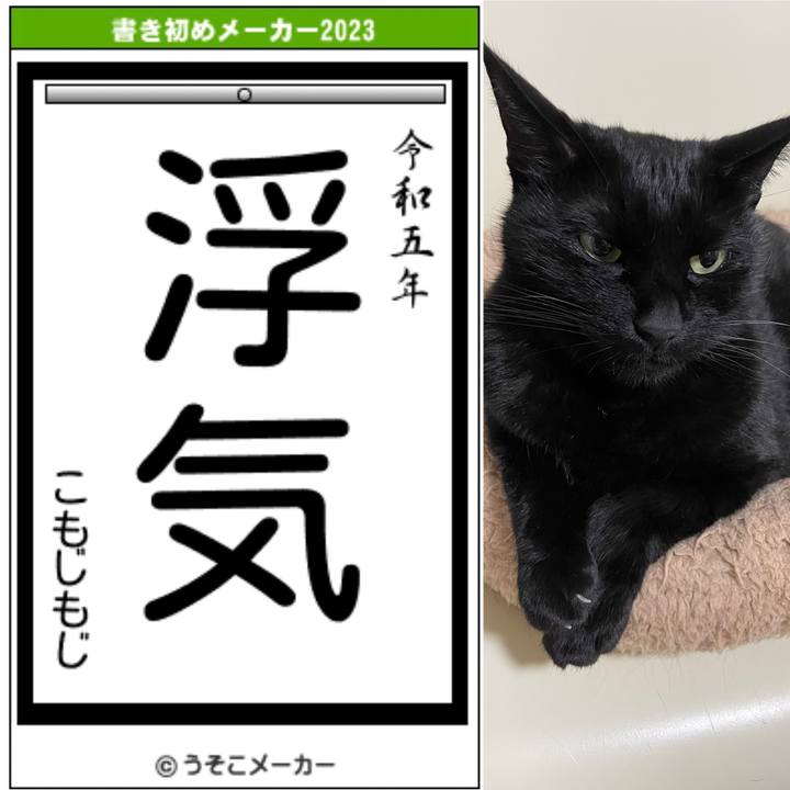 57fc5033 adfe 44c5 8286 76eba7505e70 1672555708631