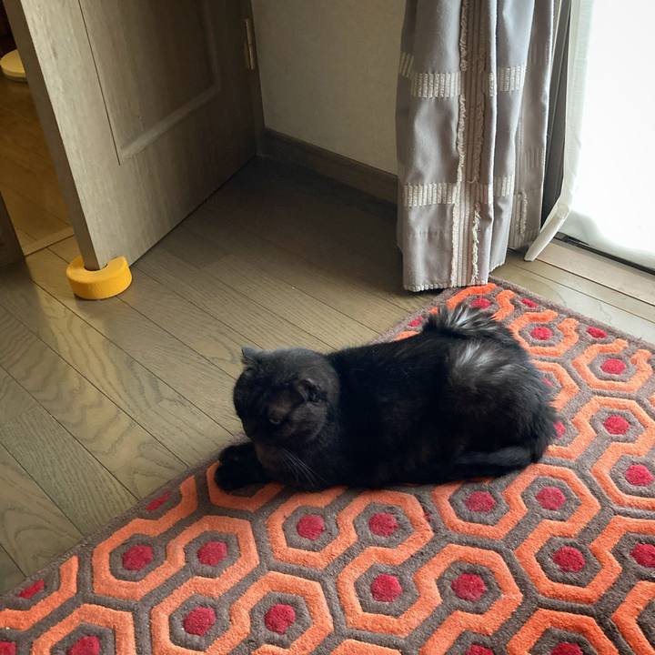 57fc7112 81d9 4275 ab0a ceaa0c8ef6b6 1597019822671