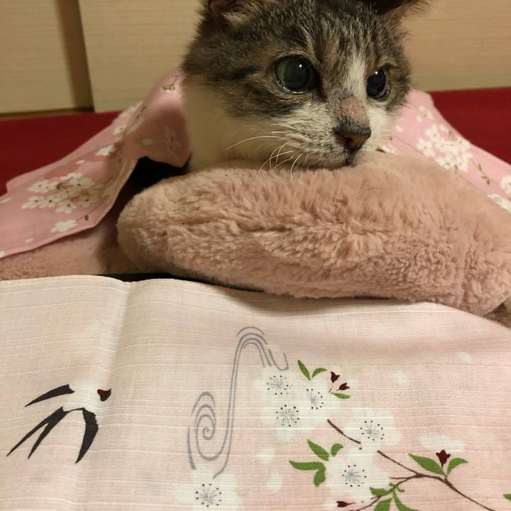 57fc8b19 0fa8 4138 ba18 c9953b46c630 1680300013741