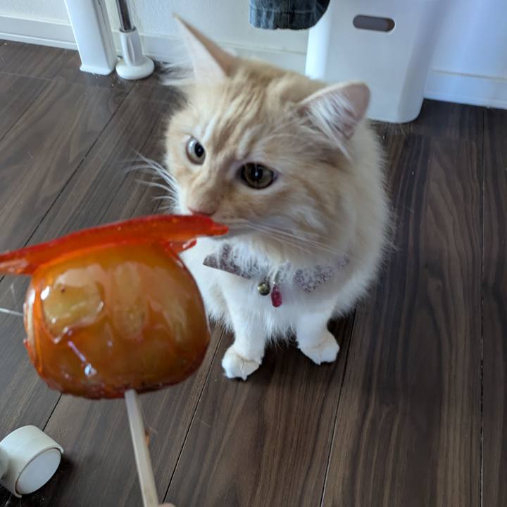 57fca41a 61c6 4d71 b753 3bbfce18d62a 1756526508696