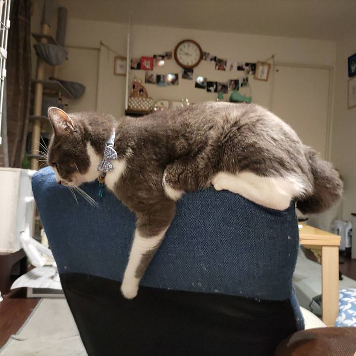 57fcafbb 69c7 4a38 8c58 0c8a46834d61 1724417535311