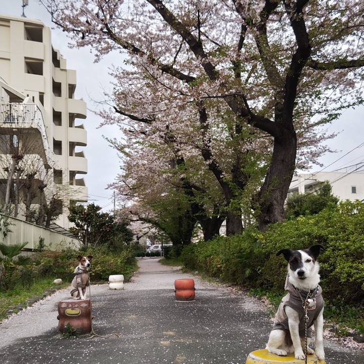 57fcd7be c5ea 4341 b941 29008def1c7a 1744234084580