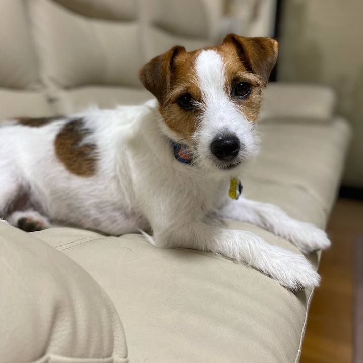 57fd0443 7dd8 4377 b04e 6058c28b668c 1757370076534