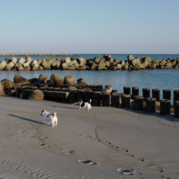 57fd191b fa2e 4e70 b779 7b9665a62e3d 1509946487941